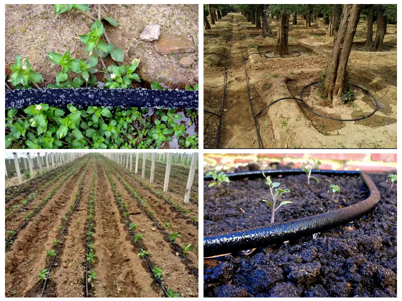 Wie wird ein Gummischlauch zur Bewässerung verwendet?